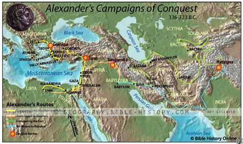 Alexander S Conquest Blaze