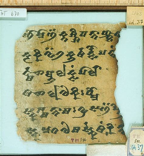 Ancient Script Bodog