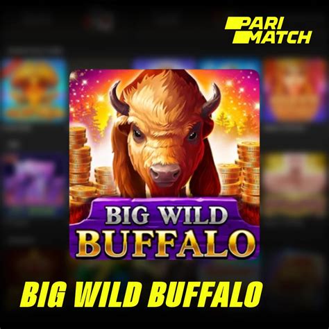 Big Buffalo Parimatch