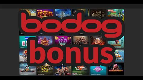 Bodog Casino Tieng Viet