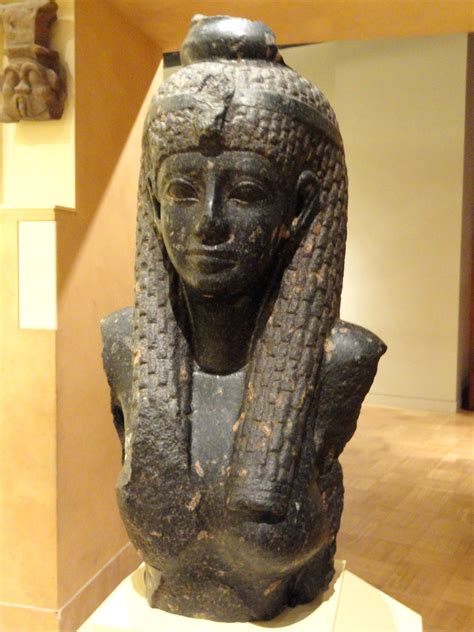 Cleopatra Vii 1xbet