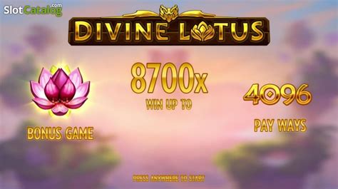 Divine Lotus Betfair