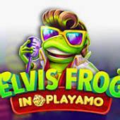 Elvis Frog In Playamo Blaze