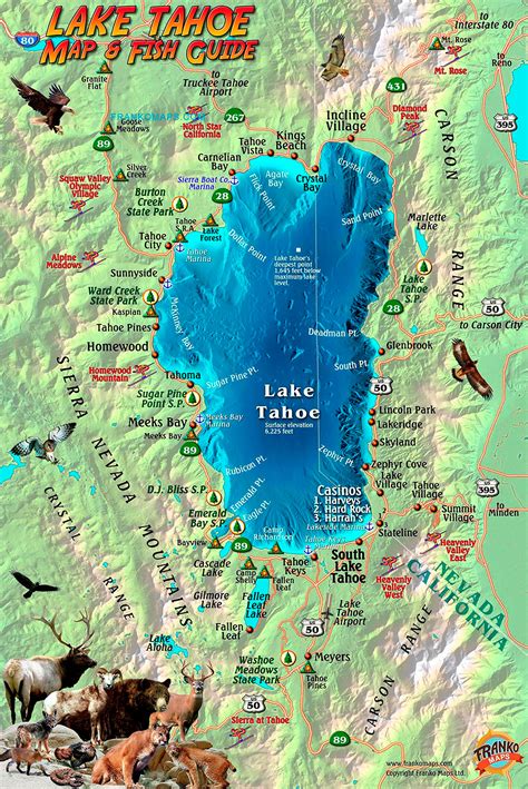 Lake Tahoe Jogo De Mapa