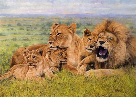 Lions Pride Betsul