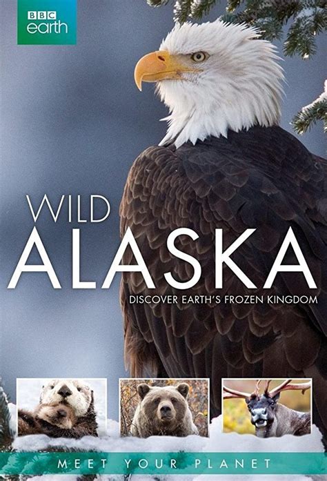 Wild Alaska Brabet