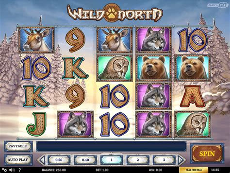 Wild North Slot - Play Online