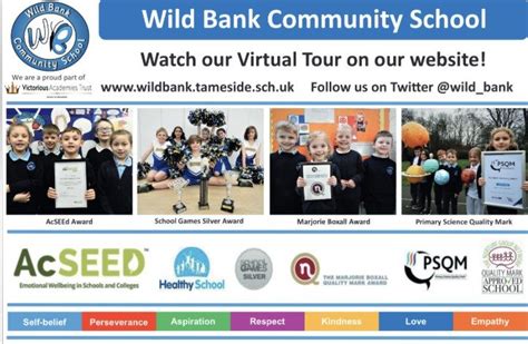 Wild Wild Bank Review 2024