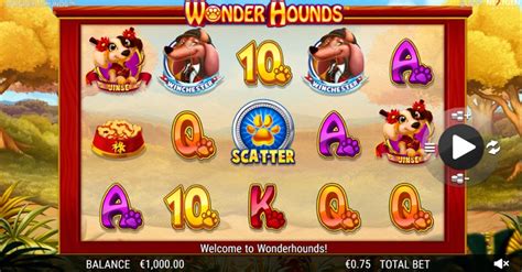 Wonder Hounds 96 1xbet